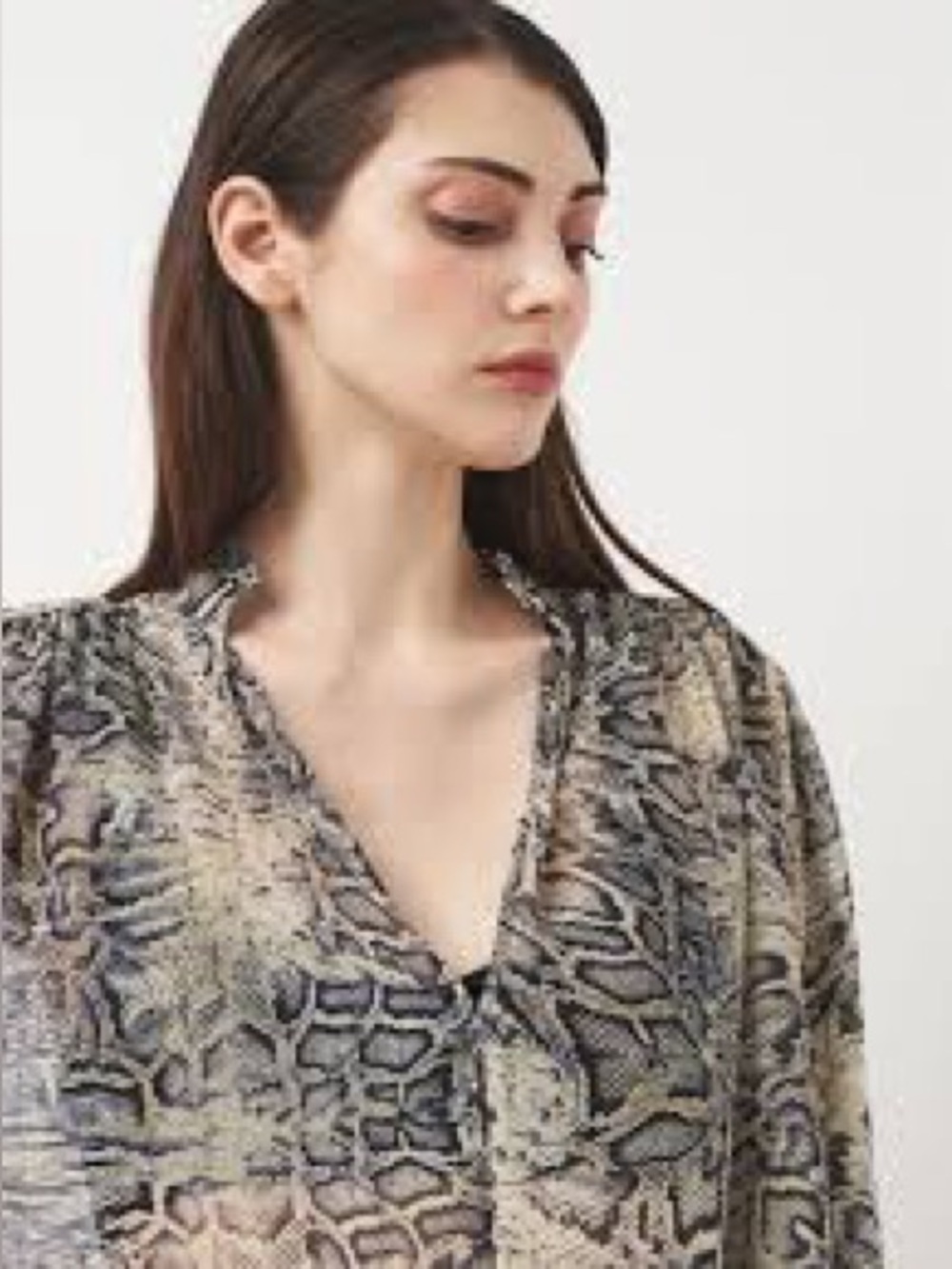 Zara Beige and Black Snakeskin Top